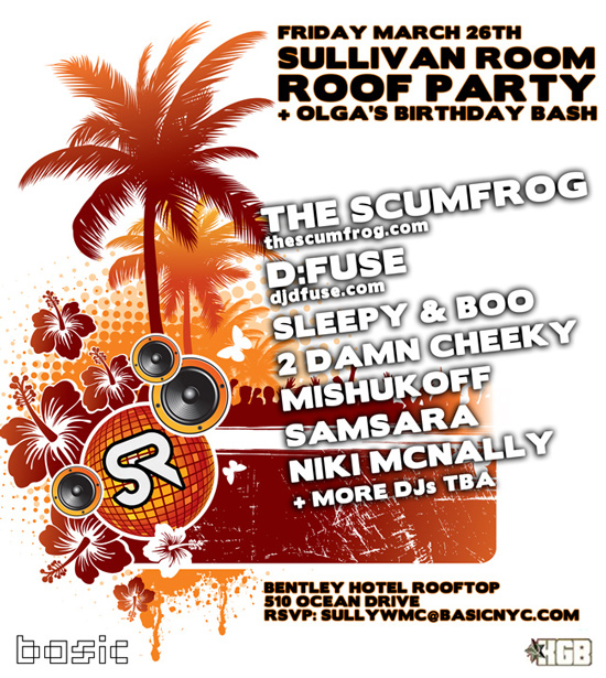 sullyroof032610_550